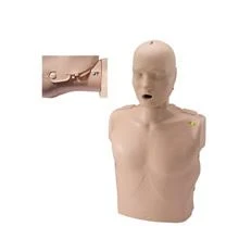 Yarim tanadagi CPR mashqlari Manikin
